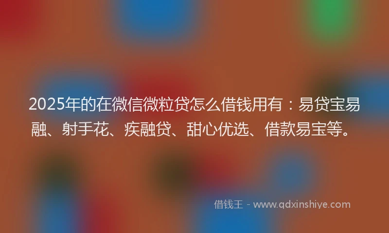 2025年的在微信微粒贷怎么借钱用有：易贷宝易融、射手花、疾融贷、甜心优选、借款易宝等。