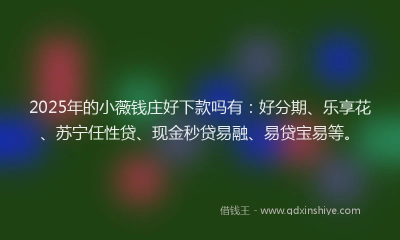 2025年的小薇钱庄好下款吗有：好分期、乐享花、苏宁任性贷、现金秒贷易融、易贷宝易等。
