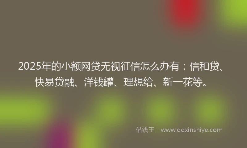 2025年的小额网贷无视征信怎么办有：信和贷、快易贷融、洋钱罐、理想给、新一花等。