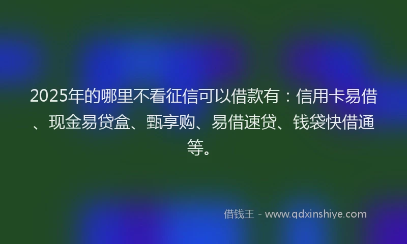 2025年的哪里不看征信可以借款有：信用卡易借、现金易贷盒、甄享购、易借速贷、钱袋快借通等。