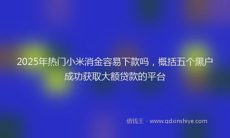 2025年热门小米消金容易下款吗,概括五个黑户成功获取大额贷款的平台