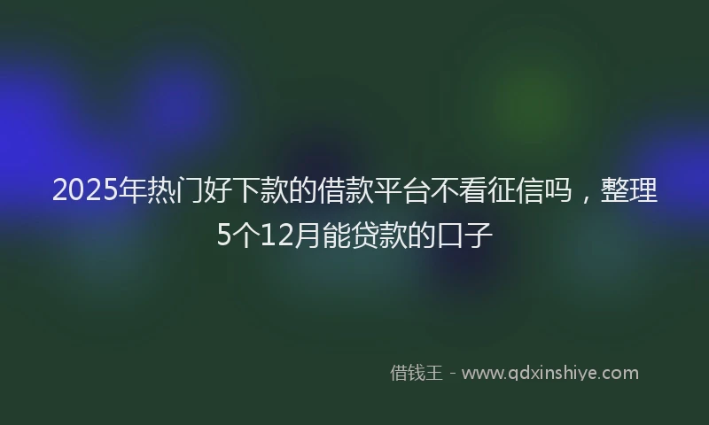 2025年热门好下款的借款平台不看征信吗，整理5个12月能贷款的口子