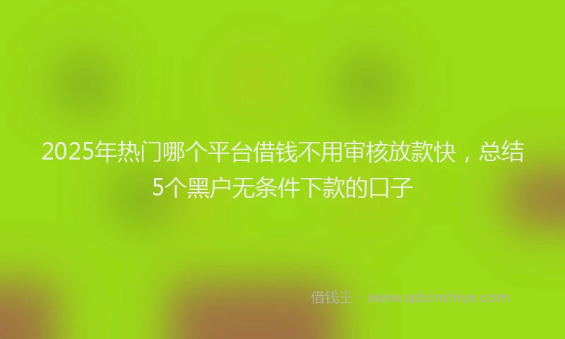 2025年热门哪个平台借钱不用审核放款快，总结5个黑户无条件下款的口子