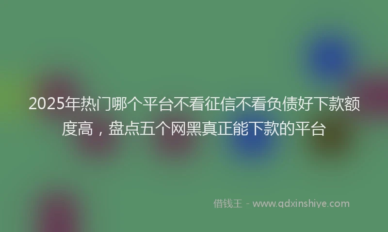 2025年热门哪个平台不看征信不看负债好下款额度高，盘点五个网黑真正能下款的平台