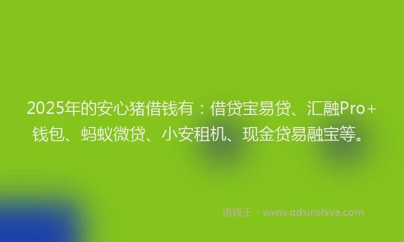 2025年的安心猪借钱有：借贷宝易贷、汇融Pro+钱包、蚂蚁微贷、小安租机、现金贷易融宝等。