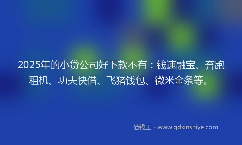2025年的小贷公司好下款不有：钱速融宝、奔跑租机、功夫快借、飞猪钱包、微米金条等。