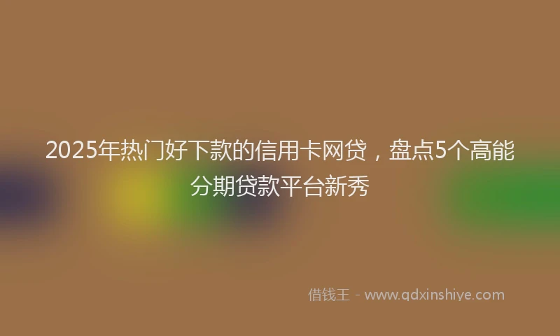 2025年热门好下款的信用卡网贷，盘点5个高能分期贷款平台新秀