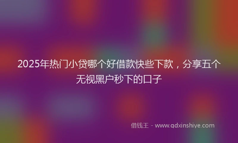 2025年热门小贷哪个好借款快些下款，分享五个无视黑户秒下的口子