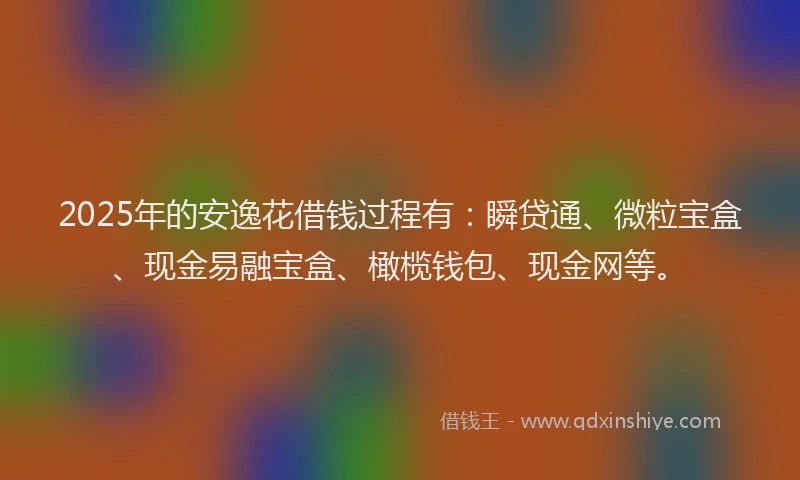 2025年的安逸花借钱过程有：瞬贷通、微粒宝盒、现金易融宝盒、橄榄钱包、现金网等。