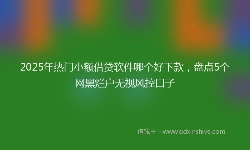 2025年热门小额借贷软件哪个好下款，盘点5个网黑烂户无视风控口子