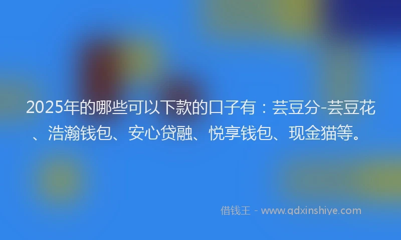 2025年的哪些可以下款的口子有：芸豆分-芸豆花、浩瀚钱包、安心贷融、悦享钱包、现金猫等。