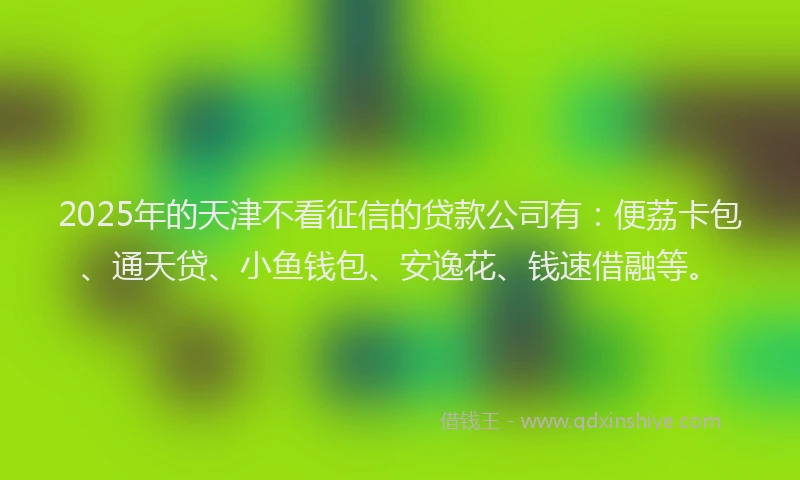 2025年的天津不看征信的贷款公司有：便荔卡包、通天贷、小鱼钱包、安逸花、钱速借融等。