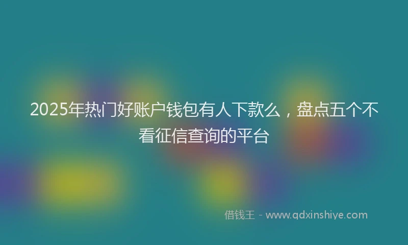 2025年热门好账户钱包有人下款么，盘点五个不看征信查询的平台