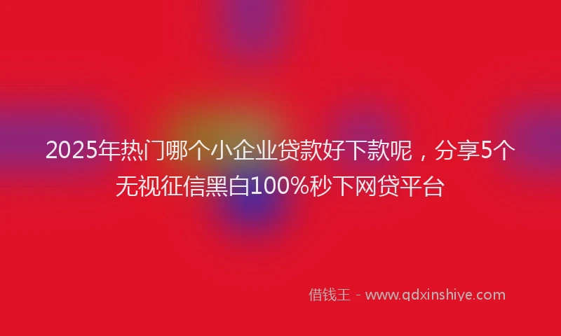 2025年热门哪个小企业贷款好下款呢，分享5个无视征信黑白100%秒下网贷平台