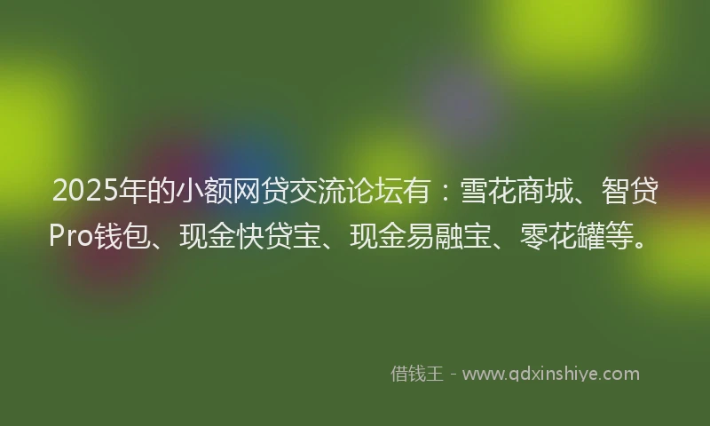 2025年的小额网贷交流论坛有：雪花商城、智贷Pro钱包、现金快贷宝、现金易融宝、零花罐等。
