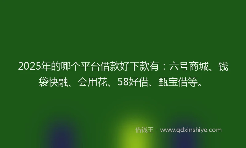 2025年的哪个平台借款好下款有：六号商城、钱袋快融、会用花、58好借、甄宝借等。