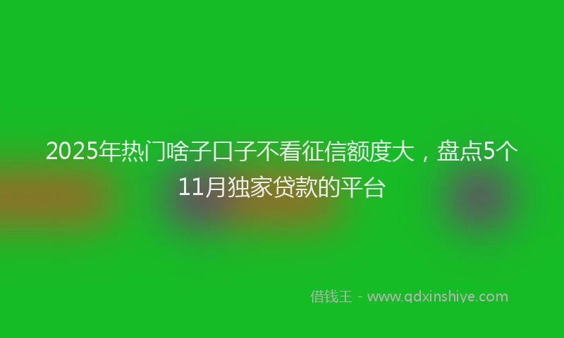 2025年热门啥子口子不看征信额度大，盘点5个11月独家贷款的平台