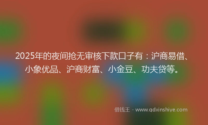 2025年的夜间抢无审核下款口子有：沪商易借、小象优品、沪商财富、小金豆、功夫贷等。