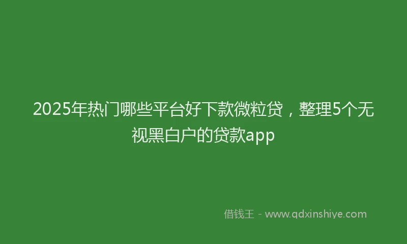 2025年热门哪些平台好下款微粒贷，整理5个无视黑白户的贷款app