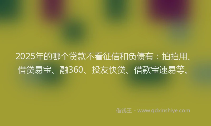 2025年的哪个贷款不看征信和负债有：拍拍用、借贷易宝、融360、投友快贷、借款宝速易等。