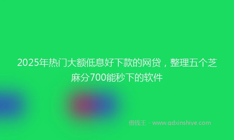 2025年热门大额低息好下款的网贷，整理五个芝麻分700能秒下的软件