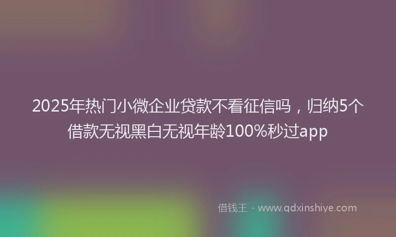 2025年热门小微企业贷款不看征信吗，归纳5个借款无视黑白无视年龄100%秒过app