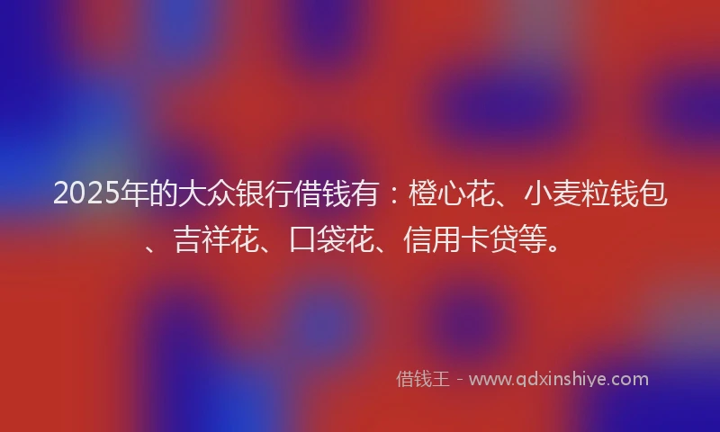 2025年的大众银行借钱有：橙心花、小麦粒钱包、吉祥花、口袋花、信用卡贷等。