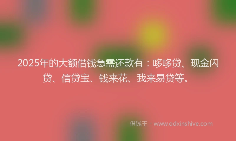 2025年的大额借钱急需还款有：哆哆贷、现金闪贷、信贷宝、钱来花、我来易贷等。
