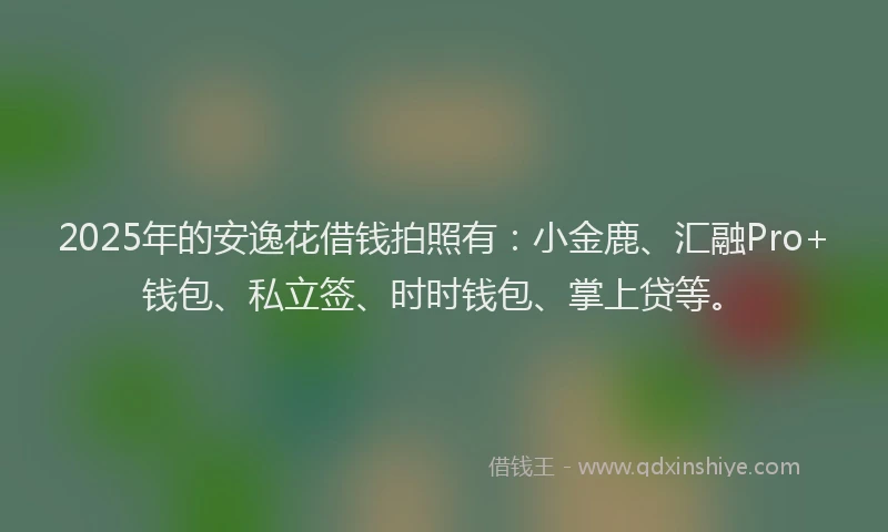 2025年的安逸花借钱拍照有：小金鹿、汇融Pro+钱包、私立签、时时钱包、掌上贷等。