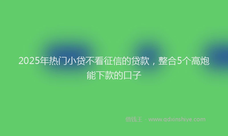 2025年热门小贷不看征信的贷款，整合5个高炮能下款的口子