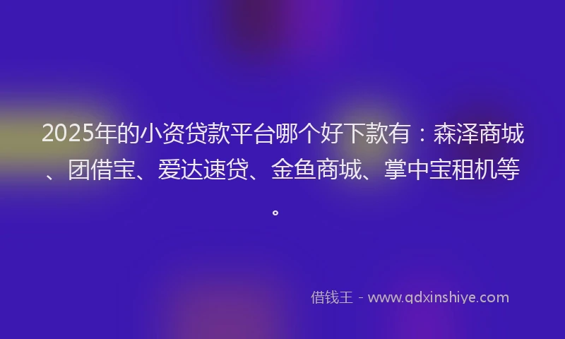 2025年的小资贷款平台哪个好下款有：森泽商城、团借宝、爱达速贷、金鱼商城、掌中宝租机等。