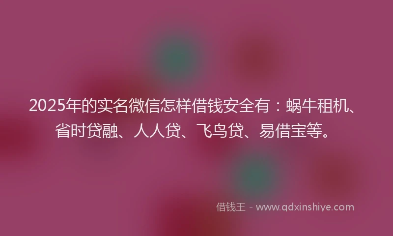 2025年的实名微信怎样借钱安全有：蜗牛租机、省时贷融、人人贷、飞鸟贷、易借宝等。