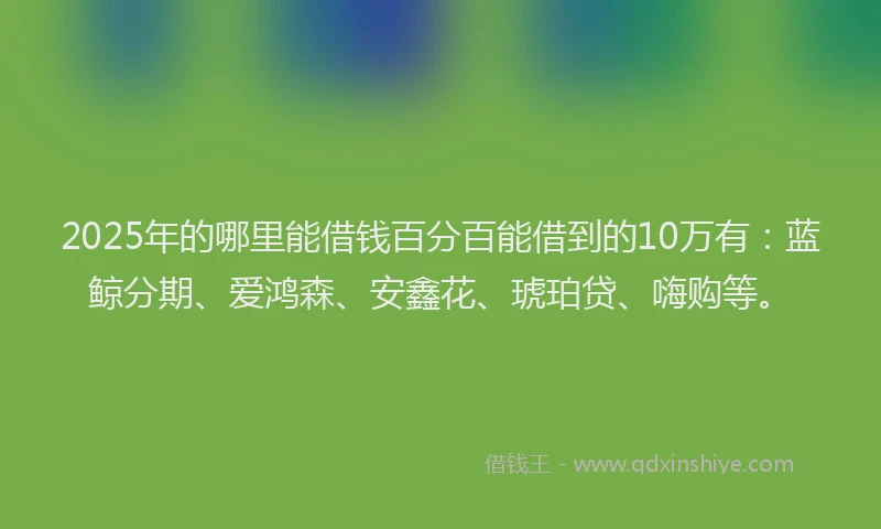 2025年的哪里能借钱百分百能借到的10万有：蓝鲸分期、爱鸿森、安鑫花、琥珀贷、嗨购等。