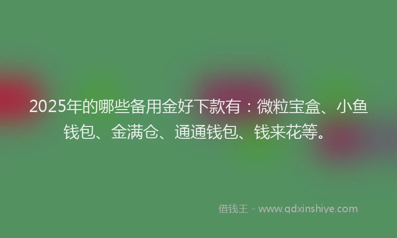 2025年的哪些备用金好下款有：微粒宝盒、小鱼钱包、金满仓、通通钱包、钱来花等。