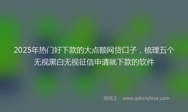 2025年热门好下款的大点额网贷口子，梳理五个无视黑白无视征信申请就下款的软件