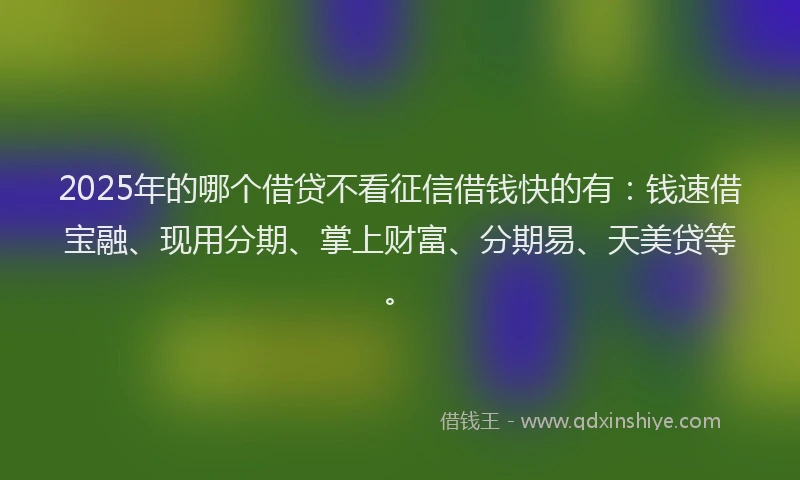 2025年的哪个借贷不看征信借钱快的有：钱速借宝融、现用分期、掌上财富、分期易、天美贷等。