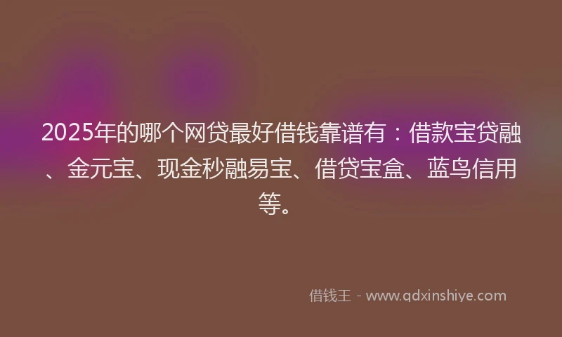 2025年的哪个网贷最好借钱靠谱有：借款宝贷融、金元宝、现金秒融易宝、借贷宝盒、蓝鸟信用等。