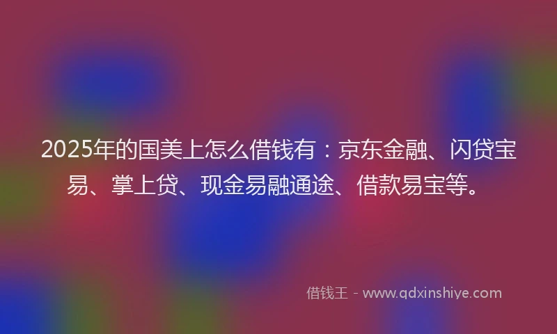 2025年的国美上怎么借钱有：京东金融、闪贷宝易、掌上贷、现金易融通途、借款易宝等。