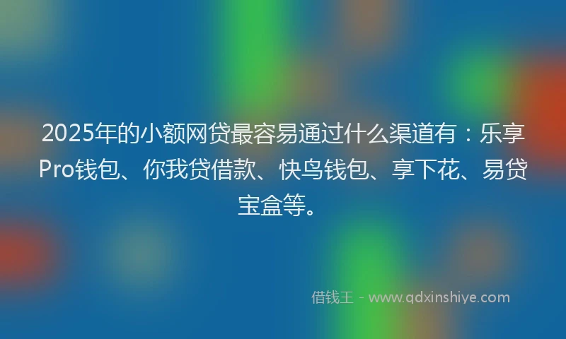 2025年的小额网贷最容易通过什么渠道有：乐享Pro钱包、你我贷借款、快鸟钱包、享下花、易贷宝盒等。