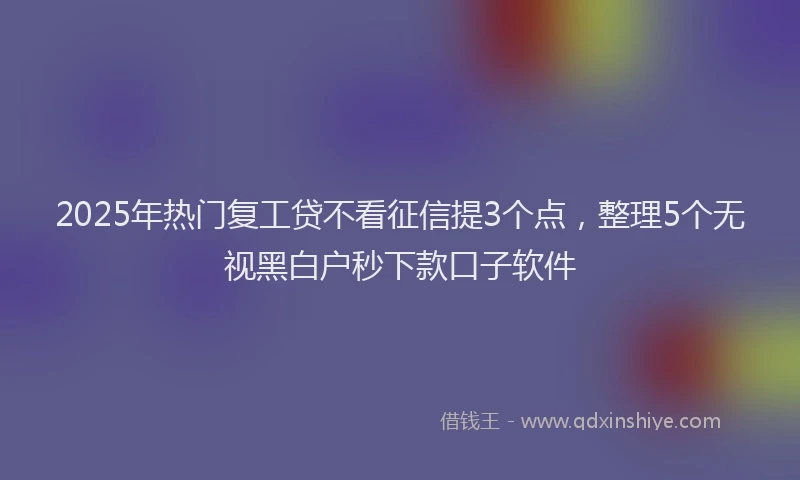 2025年热门复工贷不看征信提3个点，整理5个无视黑白户秒下款口子软件