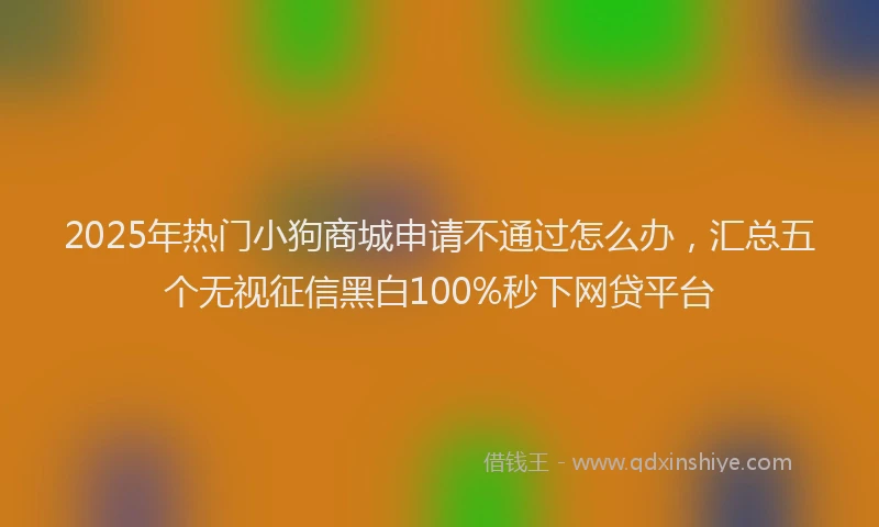2025年热门小狗商城申请不通过怎么办，汇总五个无视征信黑白100%秒下网贷平台