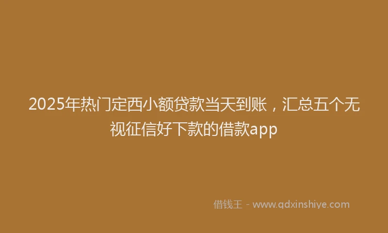 2025年热门定西小额贷款当天到账，汇总五个无视征信好下款的借款app