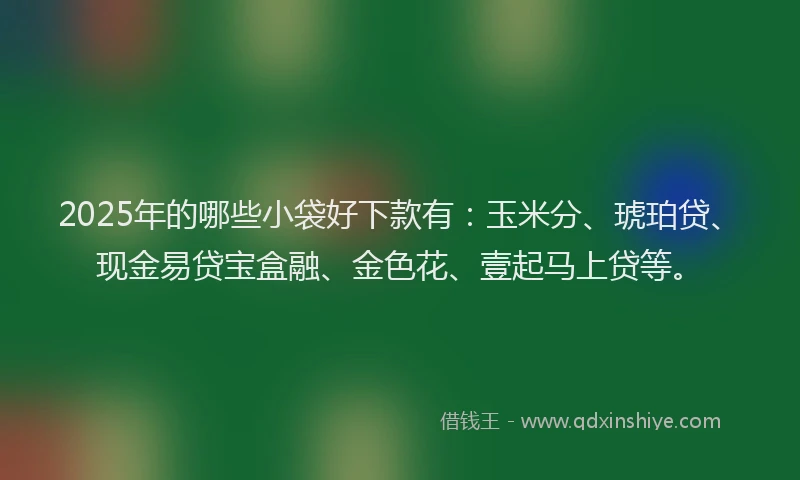 2025年的哪些小袋好下款有：玉米分、琥珀贷、现金易贷宝盒融、金色花、壹起马上贷等。