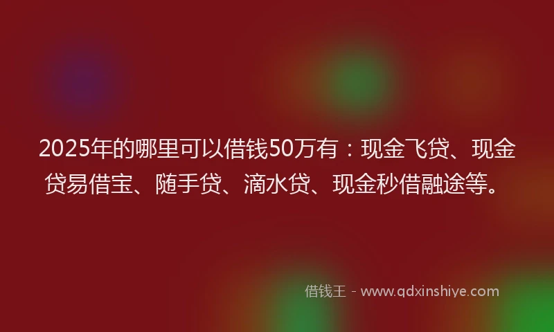 2025年的哪里可以借钱50万有：现金飞贷、现金贷易借宝、随手贷、滴水贷、现金秒借融途等。
