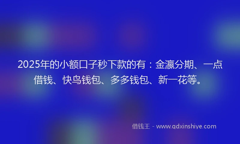 2025年的小额口子秒下款的有：金瀛分期、一点借钱、快鸟钱包、多多钱包、新一花等。
