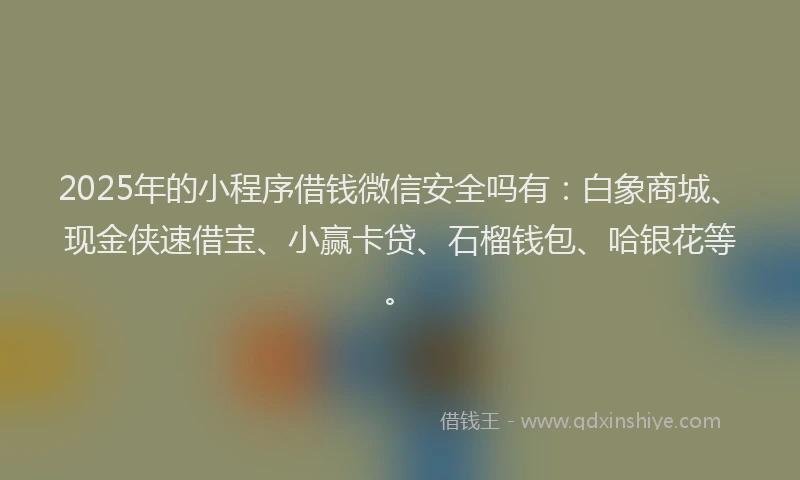 2025年的小程序借钱微信安全吗有：白象商城、现金侠速借宝、小赢卡贷、石榴钱包、哈银花等。