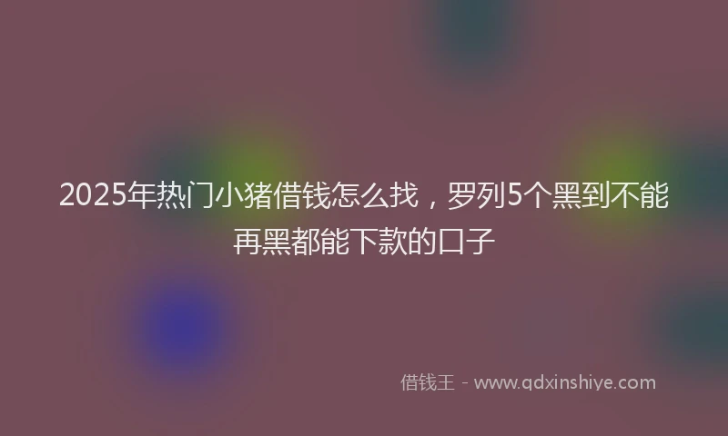 2025年热门小猪借钱怎么找，罗列5个黑到不能再黑都能下款的口子