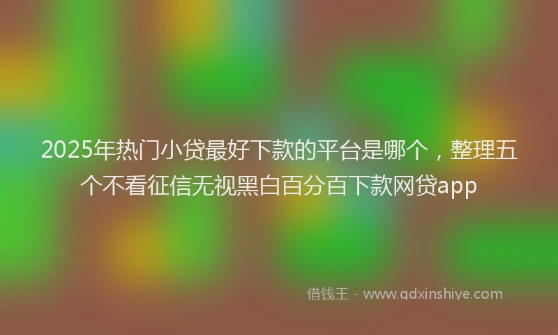 2025年热门小贷最好下款的平台是哪个，整理五个不看征信无视黑白百分百下款网贷app