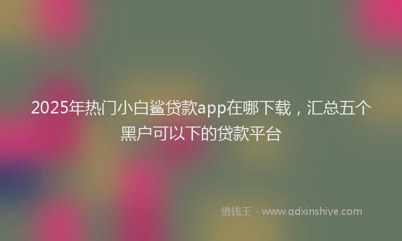2025年热门小白鲨贷款app在哪下载，汇总五个黑户可以下的贷款平台