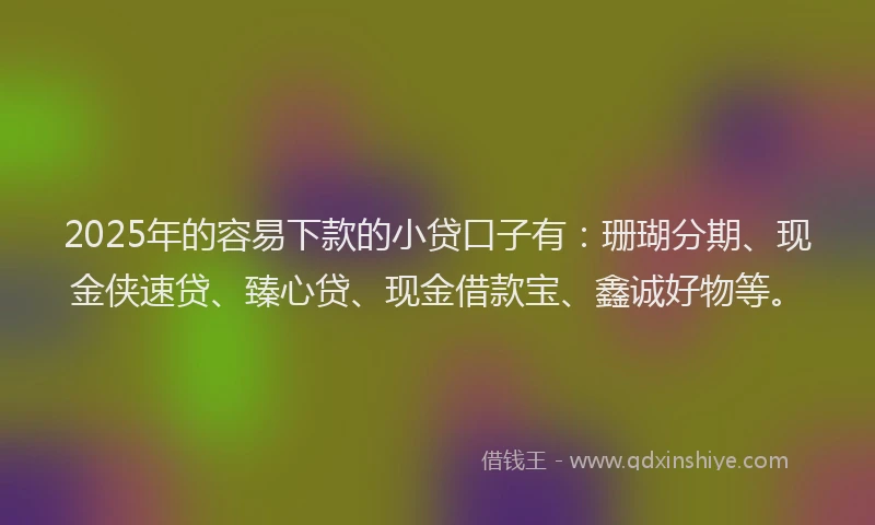2025年的容易下款的小贷口子有：珊瑚分期、现金侠速贷、臻心贷、现金借款宝、鑫诚好物等。